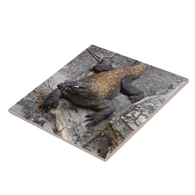 Azulejo Komodo Dragon on Warm Rocks (Lado)