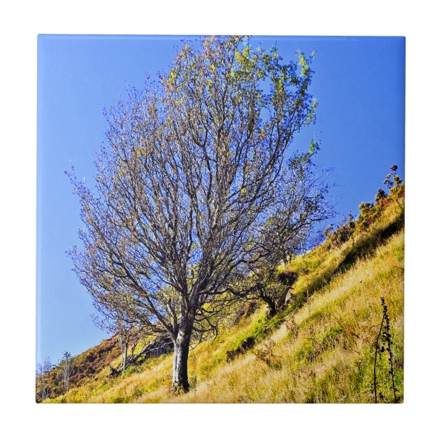 AZULEJO L0NE TREE (Frente)