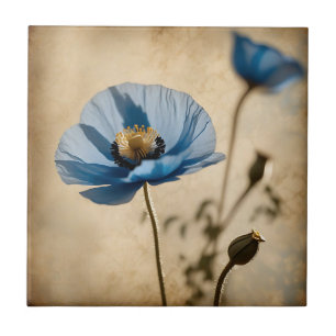 Azulejo La amapola azul bucal botánica