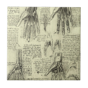 Azulejo La anatomía de la mano humana de Leonardo da Vinci