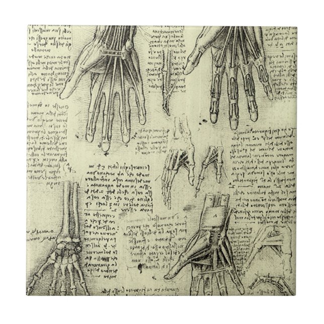 Azulejo La anatomía de la mano humana de Leonardo da Vinci (Frente)