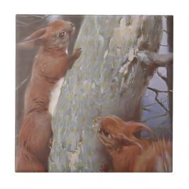 Azulejo LA ARDILLA (Sciurus vulgaris)