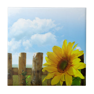Azulejo La belleza de la naturaleza del girasol