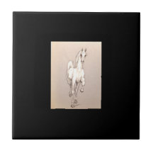 La belleza del poder. ... ...