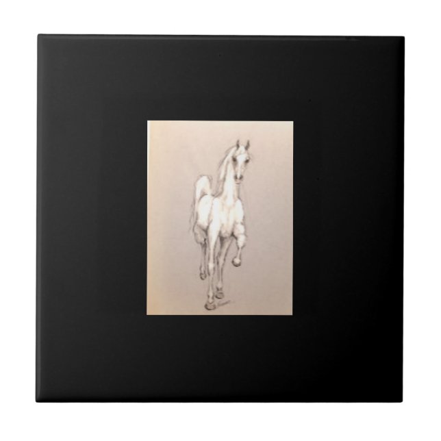 Azulejo La belleza del poder. ... ... (Frente)