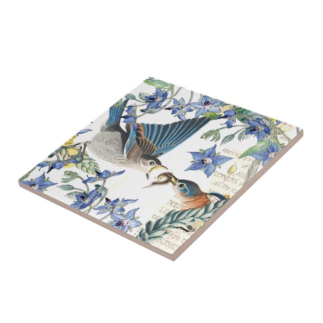 Azulejo La borraja de los pájaros del Bluebird de Audubon (Lado)