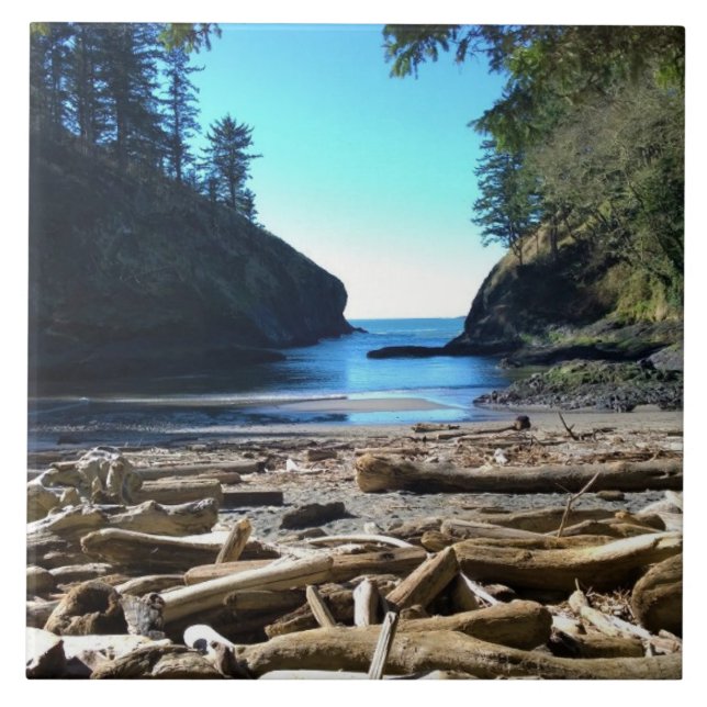 Azulejo La cala del hombre muerto, la decepción de Cabo, A (Frente)