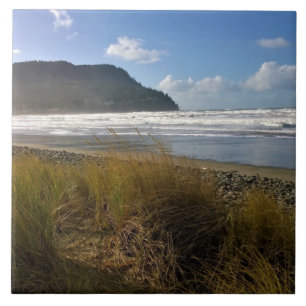 Azulejo La cala, la costa, Oregón