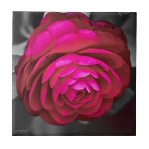 Azulejo La Camelia Rosa 