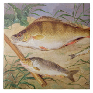 Azulejo La captura de un pescador de los pescados gruesos