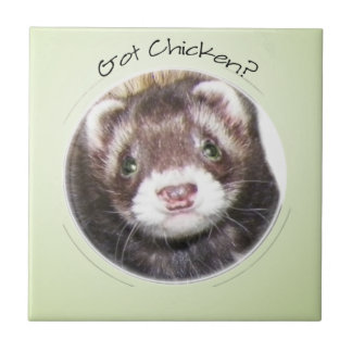 Azulejo ¿La cara de Ferret tiene pollo?