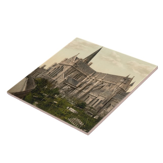 Azulejo La catedral Dublín Irlanda de St Patrick (Lado)