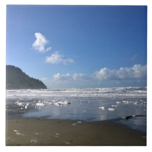 Azulejo La costa costera en invierno