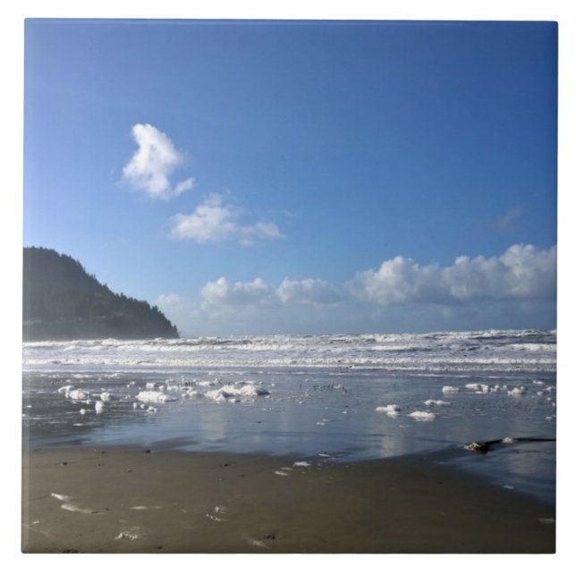 Azulejo La costa costera en invierno (Frente)