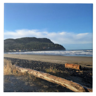 Azulejo La ensenada en la costa, Oregón