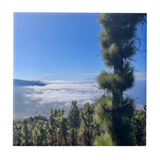 Azulejo La felicidad de Tenerife. (Frente)