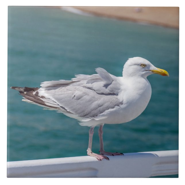 Azulejo La gaviota sobre las barandillas mira la cerámica (Frente)
