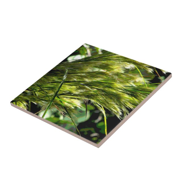 Azulejo La hierba de la playa en la brisa (Lado)