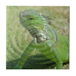 Azulejo La Iguana Verde