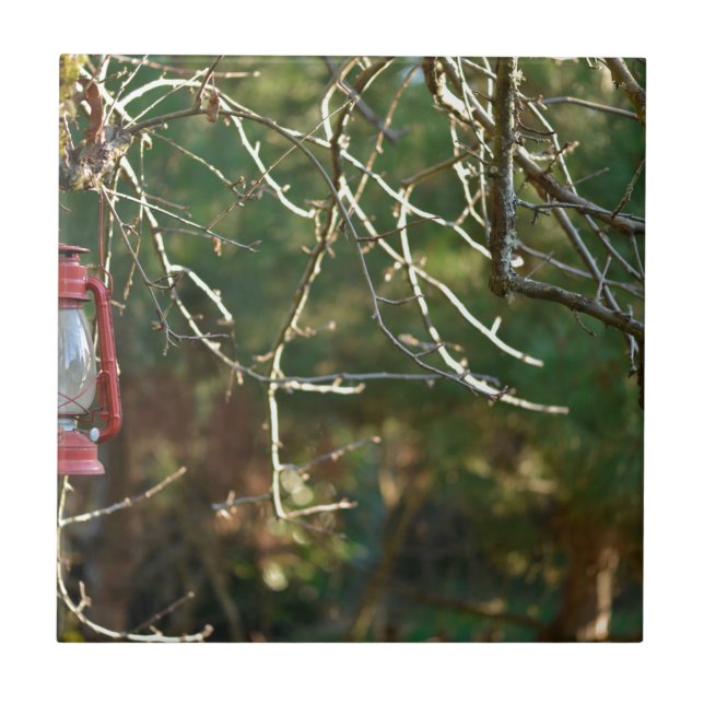 Azulejo La linterna (Frente)