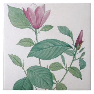 Azulejo La magnolia se decolora, grabado por Legrand