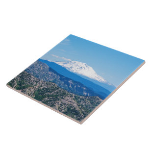 Azulejo La opinión de Helen