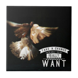 Azulejo La Paloma Toma Una Oportunidad