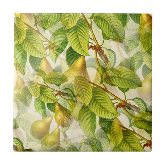 Azulejo La Pera Pear (Frente)