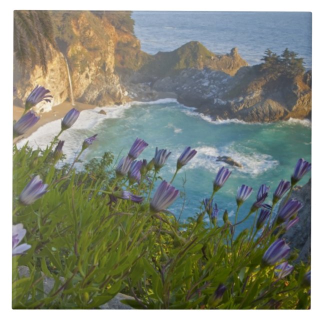 Azulejo La pintoresca McWay Falls cae en la playa y (Frente)