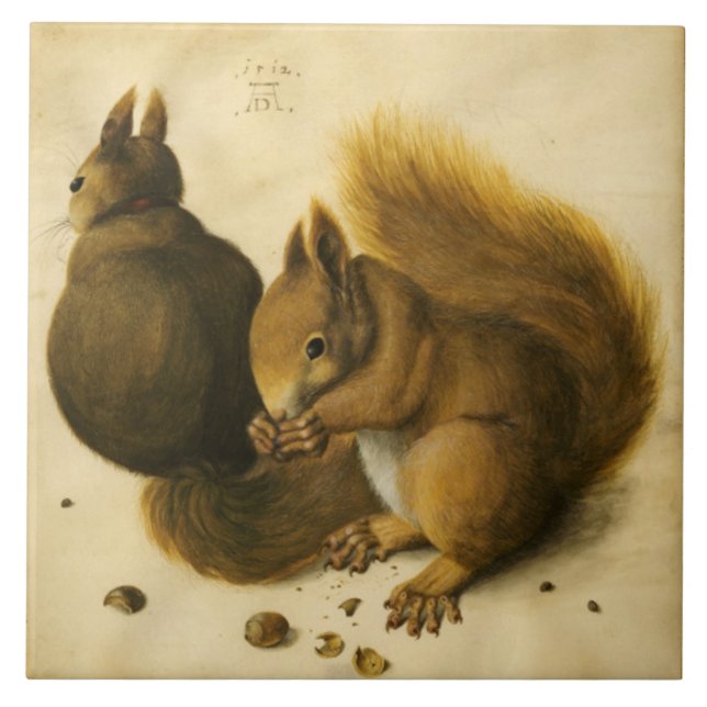 Azulejo LA PLAZA CON NUTS de Albrecht Durer (Frente)