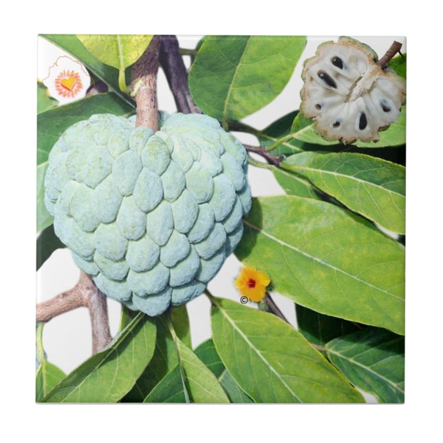 Azulejo La pomme-cannelle - Verre à shot (Frente)