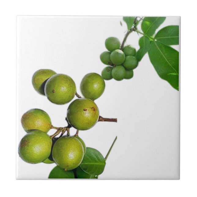 Azulejo La quenette  (Frente)