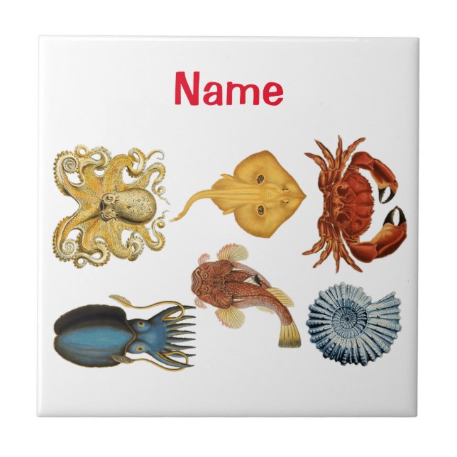 Azulejo La variedad de Bebidas marinas únicas Thunder_Cove (Frente)