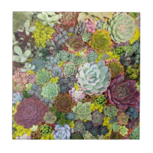 La vegetación colorida es un éxito