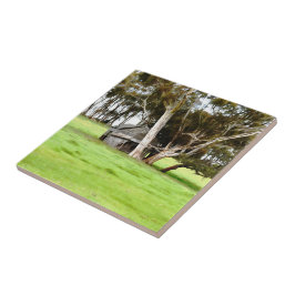 Azulejo La Vieja Pila De Cerámica De Madera