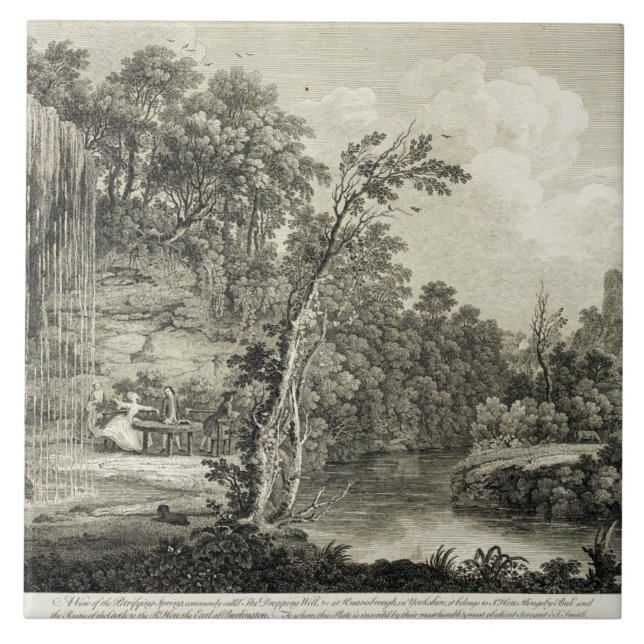 Azulejo La vista de la primavera Petrifying comúnmente (Frente)