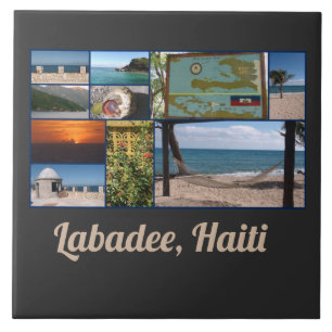 Azulejo Labadee, Haití