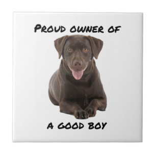 Azulejo Laboratorio de chocolate Good Boy