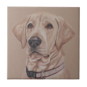 Azulejo Labrador amarillo Mascota Perro Arte Cerámica Til