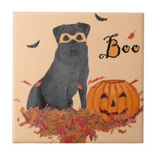 Azulejo Labrador Retriever Negro Boo!