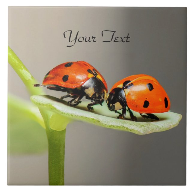 Azulejo Ladybugs Beetles Ceramic Tile (Frente)