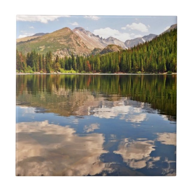 Azulejo Lago bear. Colorado (Frente)