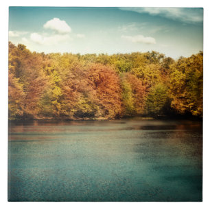 Azulejo Lago Bosque Árboles Agua Monograma Pantalla Tile