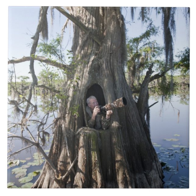 Azulejo Lago Caddo, ciego de caza (Frente)