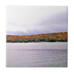 Azulejo Lago Ginebra, Wisconsin