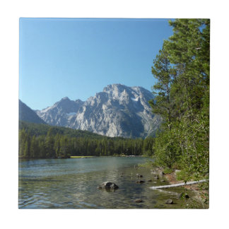 Azulejo Lago Leigh en el Parque Nacional Grand Teton