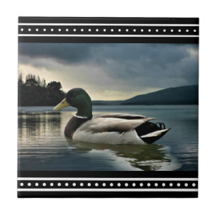 Azulejo Lago Mallard Duck