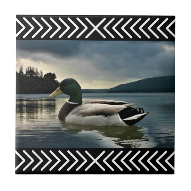 Azulejo Lago Mallard Duck (Frente)