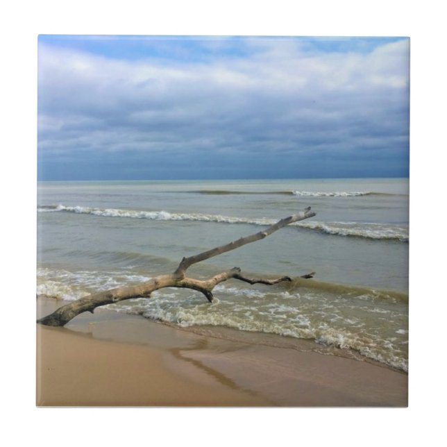 Azulejo Lago Michigan, Sheboygan, Wisconsin (Frente)