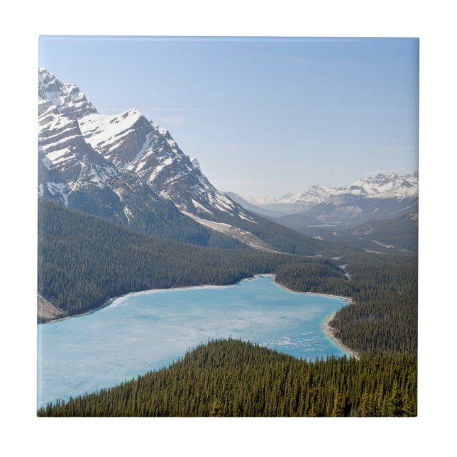 Azulejo Lago Peyto - Parque Nacional Banff, Alberta, Canad (Frente)